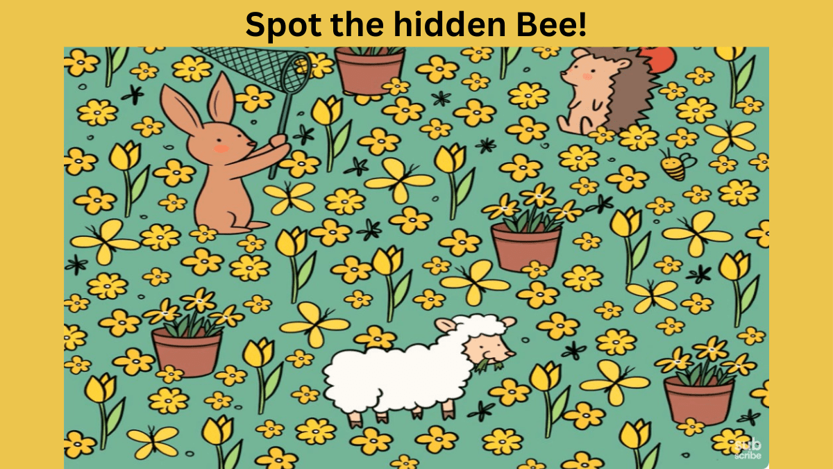 spot the hidden bee