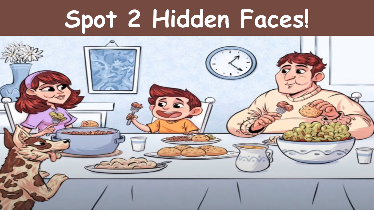 spot 2 Hidden Faces