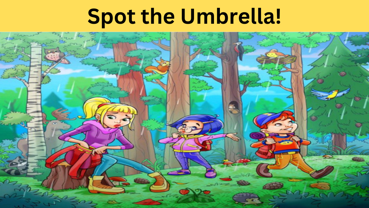 spot the Umbrella