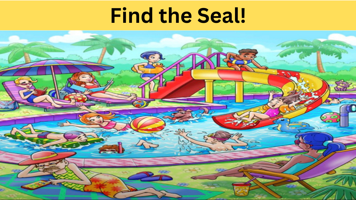 find the seal