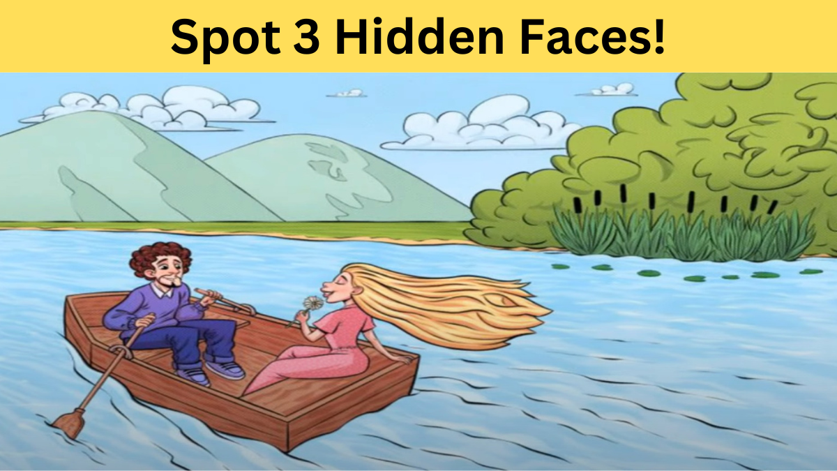 spot 3 Hidden Faces