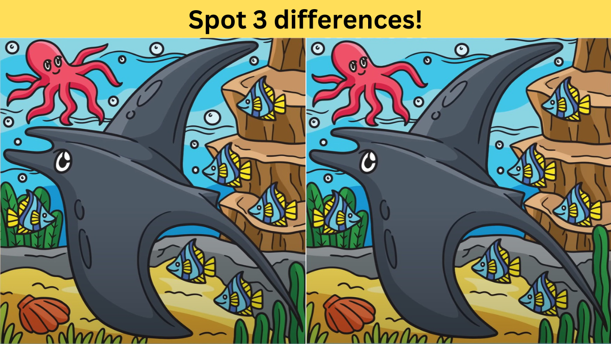 spot 3 differences